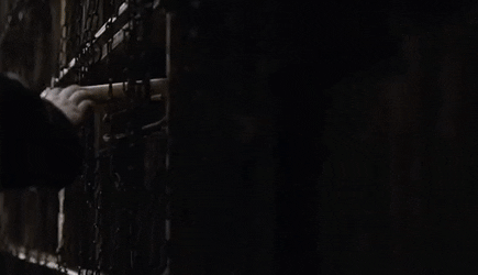 UnacceptableBeautifulAntelopegroundsquirrel-size_restricted